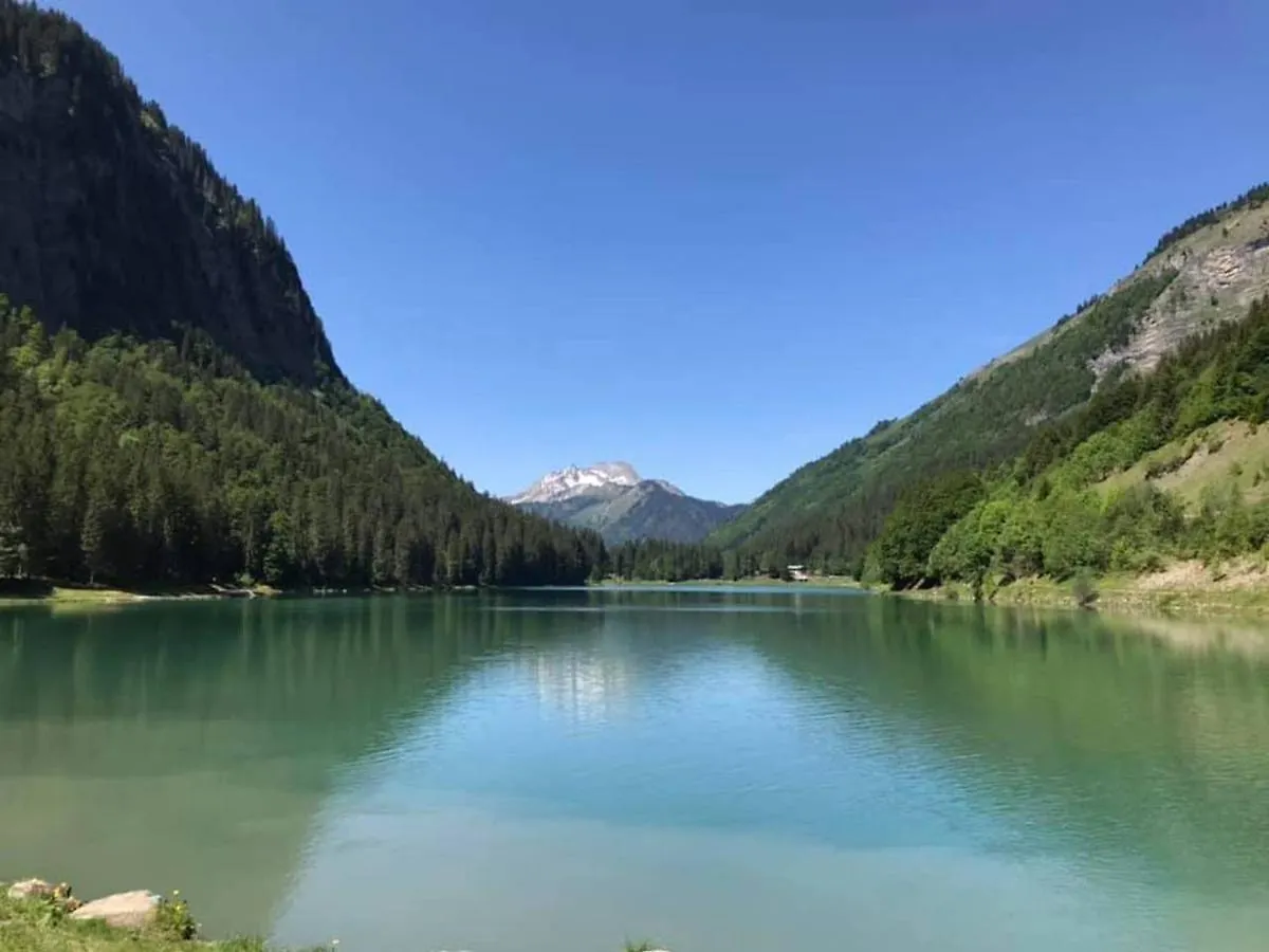 Ride And Breakfast Villa Montriond 0*,  France